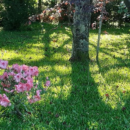 Quinta D'Avo Amelia Bed & Breakfast Alquerubim Dış mekan fotoğraf