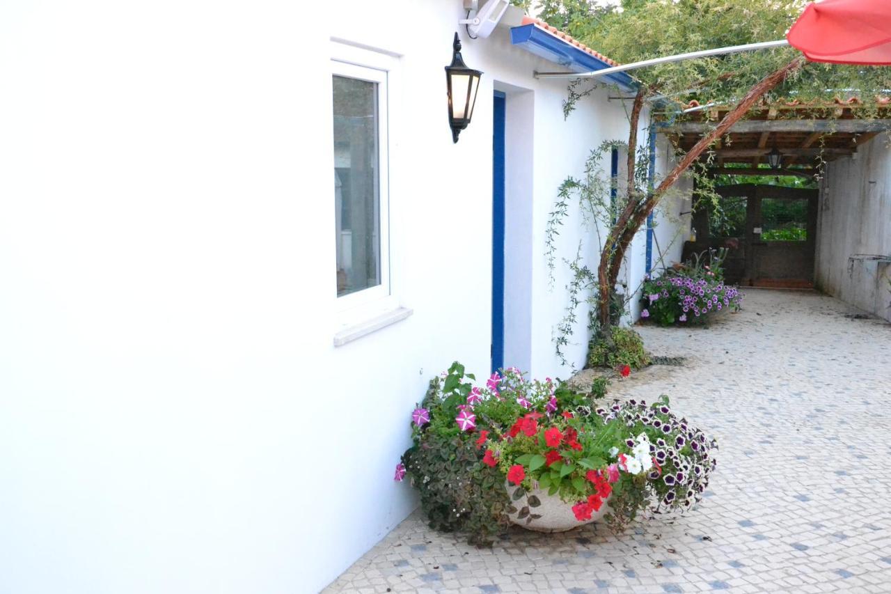 Quinta D'Avo Amelia Bed & Breakfast Alquerubim Dış mekan fotoğraf