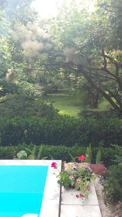 Quinta D'Avo Amelia Bed & Breakfast Alquerubim Dış mekan fotoğraf