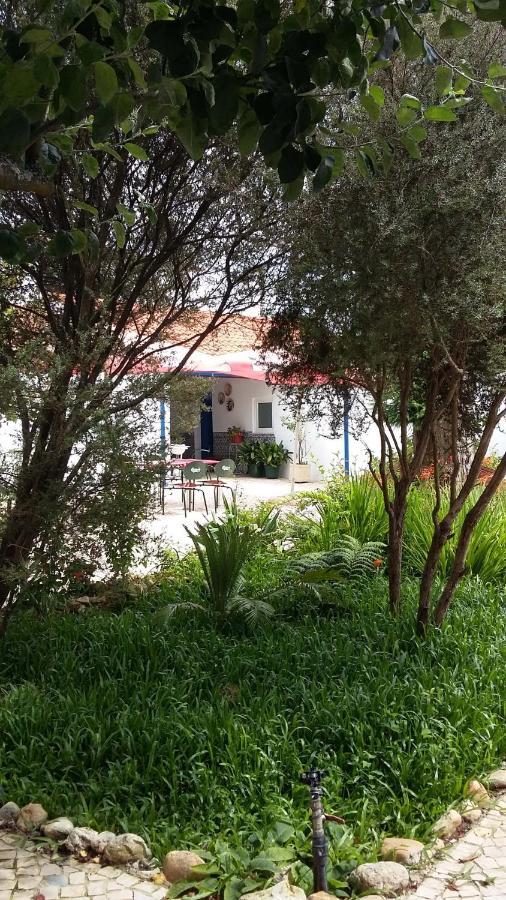 Quinta D'Avo Amelia Bed & Breakfast Alquerubim Dış mekan fotoğraf