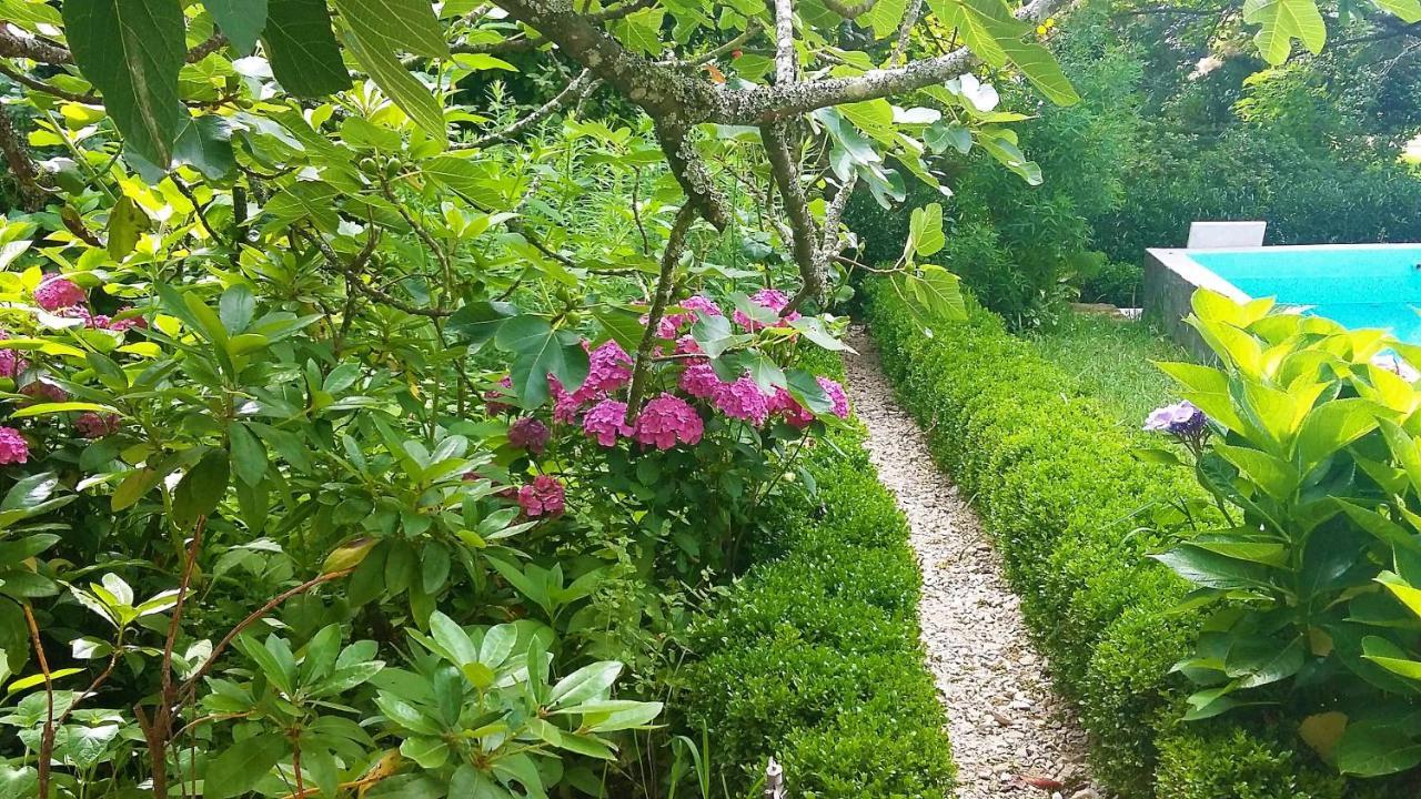 Quinta D'Avo Amelia Bed & Breakfast Alquerubim Dış mekan fotoğraf