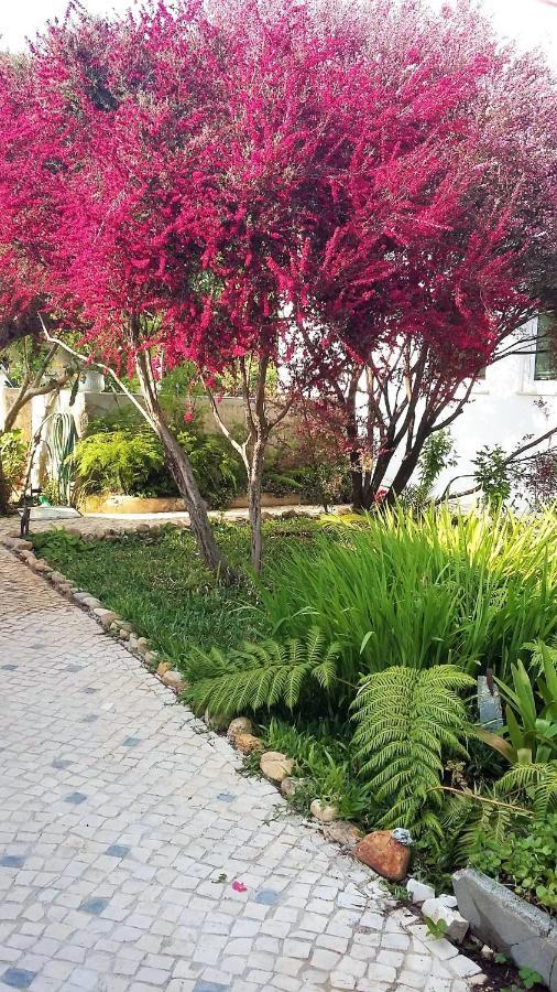 Quinta D'Avo Amelia Bed & Breakfast Alquerubim Dış mekan fotoğraf