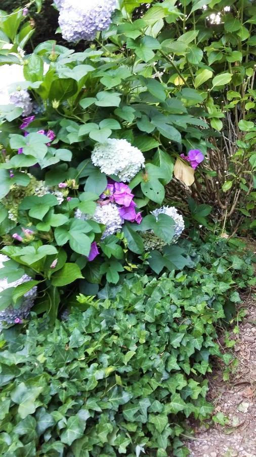 Quinta D'Avo Amelia Bed & Breakfast Alquerubim Dış mekan fotoğraf