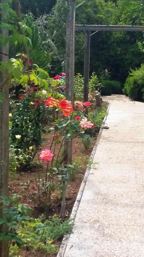 Quinta D'Avo Amelia Bed & Breakfast Alquerubim Dış mekan fotoğraf