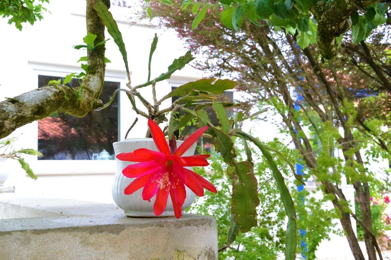 Quinta D'Avo Amelia Bed & Breakfast Alquerubim Dış mekan fotoğraf