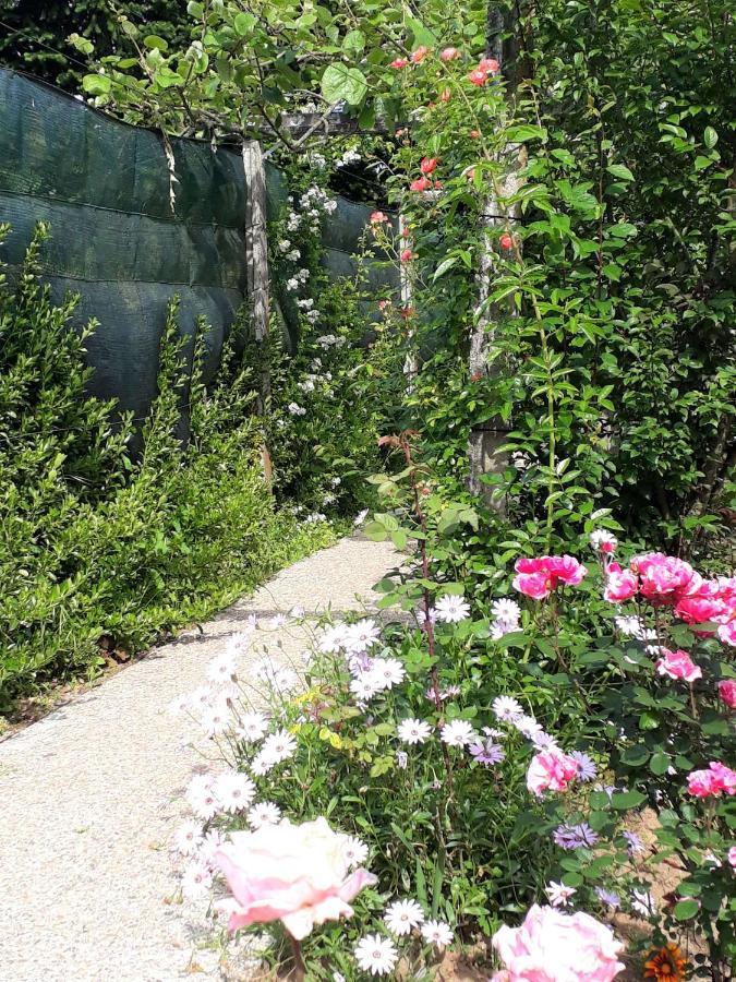Quinta D'Avo Amelia Bed & Breakfast Alquerubim Dış mekan fotoğraf