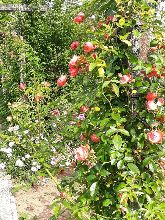Quinta D'Avo Amelia Bed & Breakfast Alquerubim Dış mekan fotoğraf