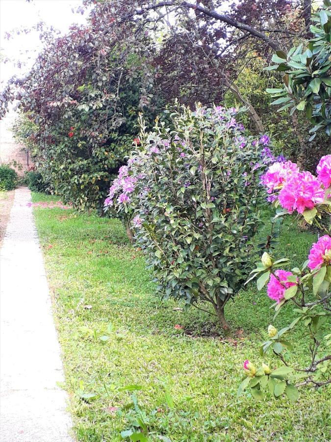 Quinta D'Avo Amelia Bed & Breakfast Alquerubim Dış mekan fotoğraf