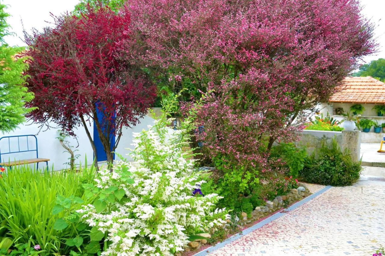 Quinta D'Avo Amelia Bed & Breakfast Alquerubim Dış mekan fotoğraf