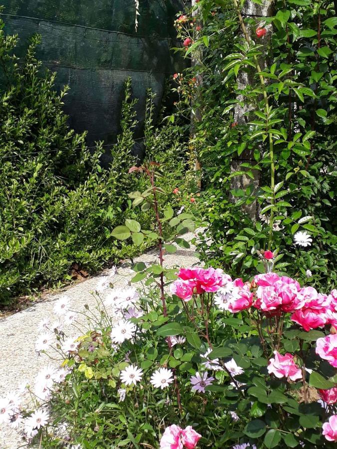 Quinta D'Avo Amelia Bed & Breakfast Alquerubim Dış mekan fotoğraf