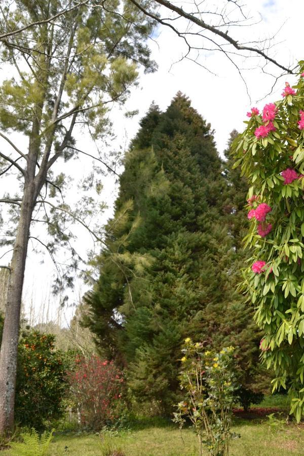 Quinta D'Avo Amelia Bed & Breakfast Alquerubim Dış mekan fotoğraf