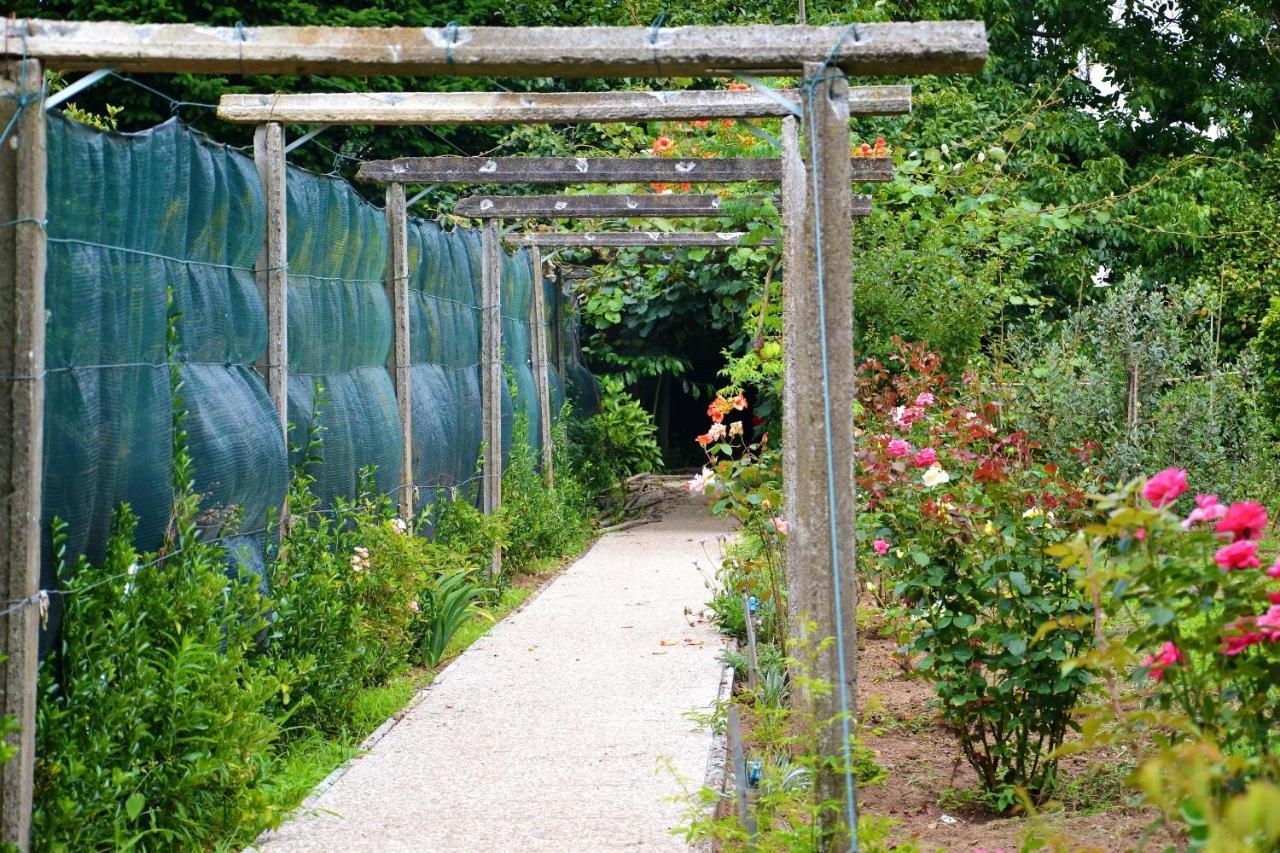 Quinta D'Avo Amelia Bed & Breakfast Alquerubim Dış mekan fotoğraf